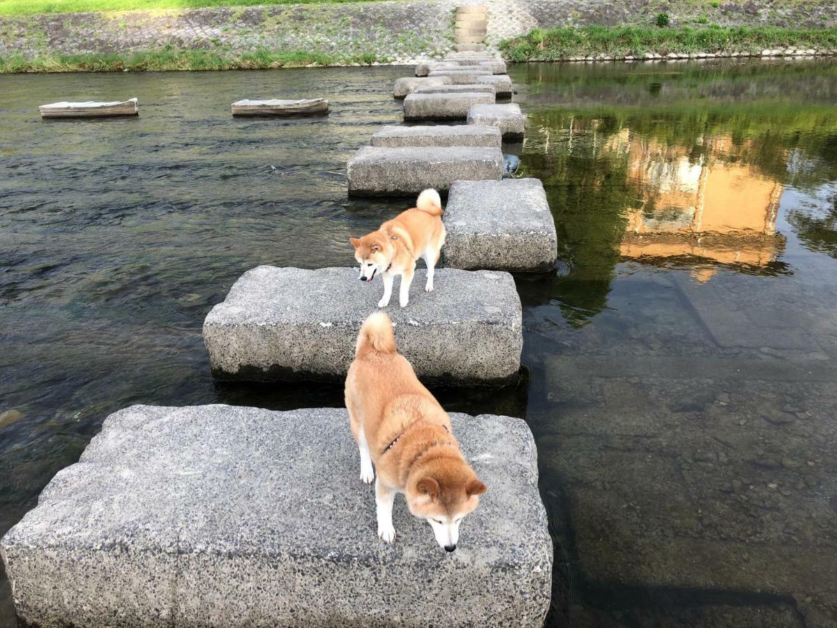 Seibido Inn Kyoto Bagian luar foto